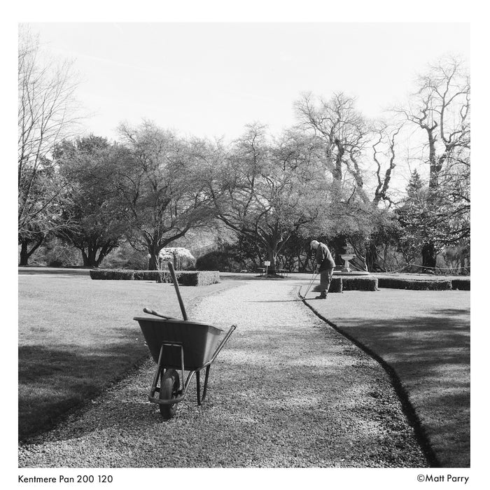 Kentmere Pan 200 Black & White 120 Roll Film