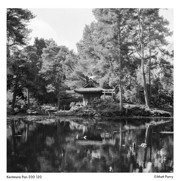 Kentmere Pan 200 Black & White 120 Roll Film