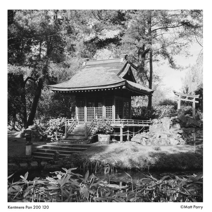 Kentmere Pan 200 Black & White 120 Roll Film