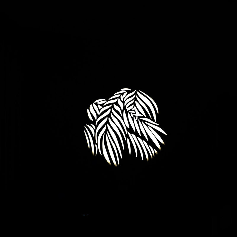 Nanlite Gobo Set 2 (10pc) for Projection Attachement with FM Mount
