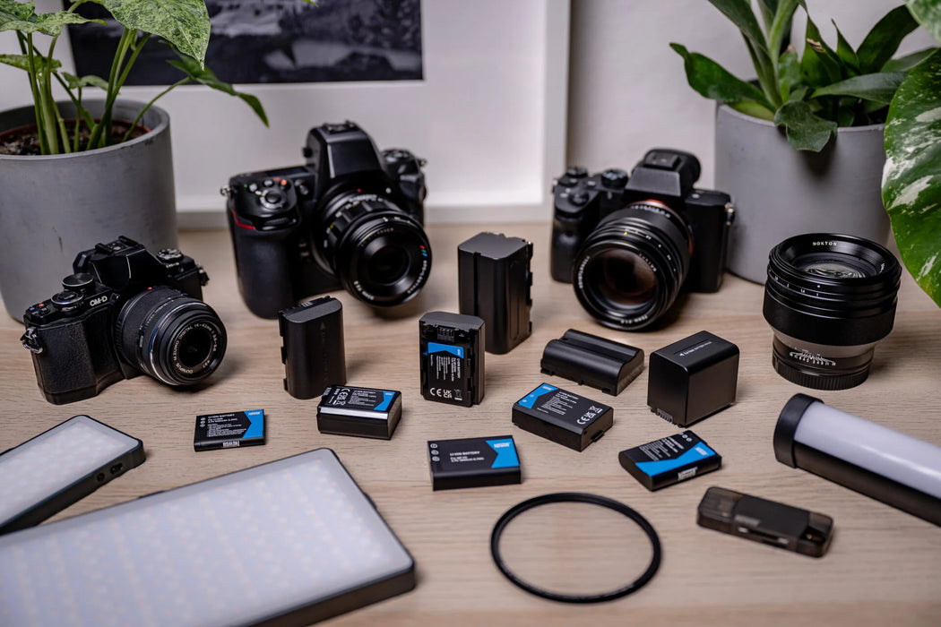 Newell Battery LP-E19 for Canon