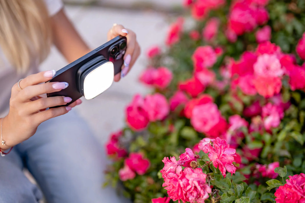 Newell Bella LED Light