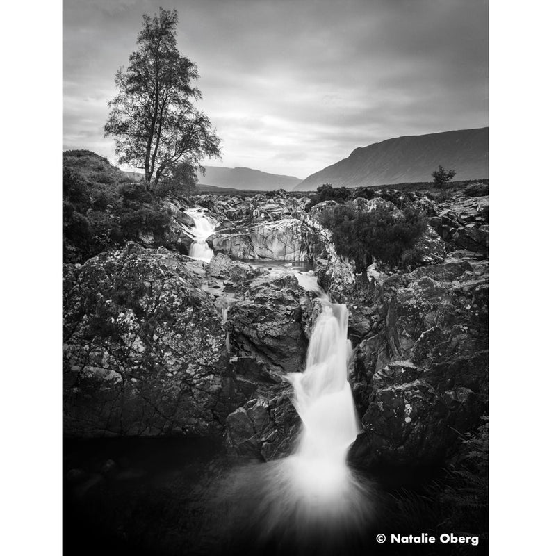 Ilford Ortho 80 Plus Black & White 120 Roll Film
