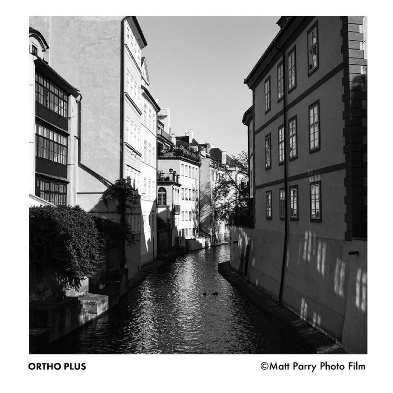 Ilford Ortho 80 Plus Black & White 120 Roll Film