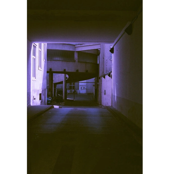 Revolog 460nm 400 36-Exposure 35mm Colour Negative 135 Film