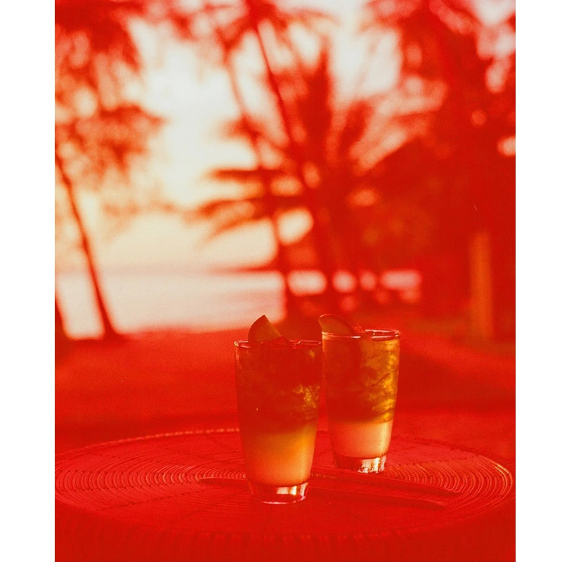 Revolog 600nm 400 36-Exposure 35mm Colour Negative 135 Film
