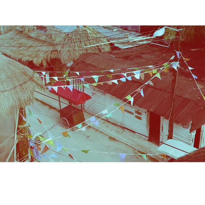 Revolog 600nm 400 36-Exposure 35mm Colour Negative 135 Film