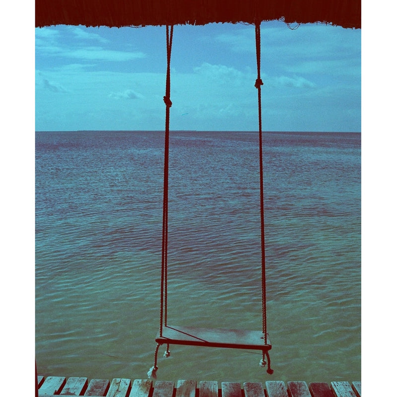 Revolog 600nm 400 36-Exposure 35mm Colour Negative 135 Film