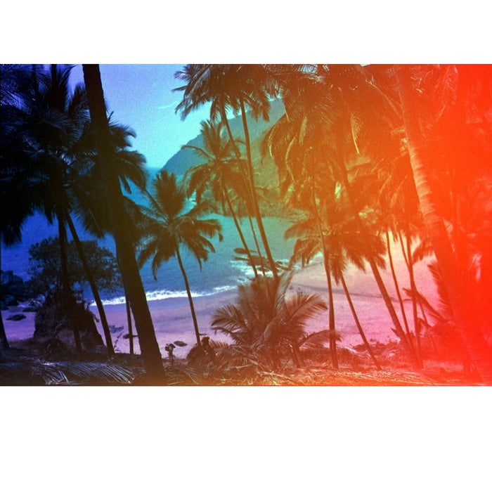 Revolog Kolor 400 36-Exposure 35mm Colour Negative 135 Film