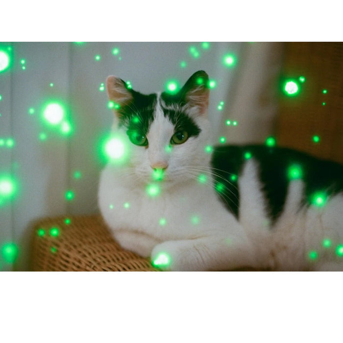 Revolog Volvox 400 36-Exposure 35mm Colour Negative 135 Film