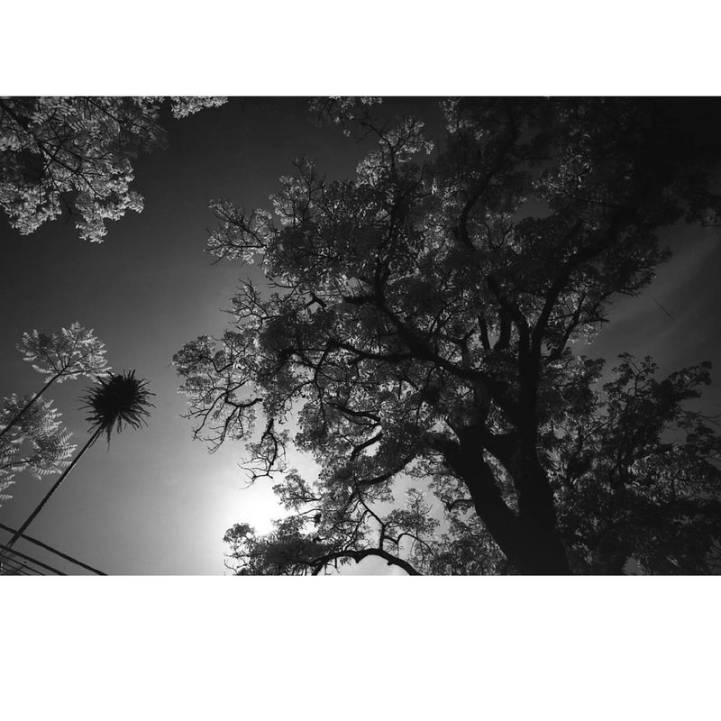 Rollei Retro 80S 36-Exposure 35mm Black & White 135 Film