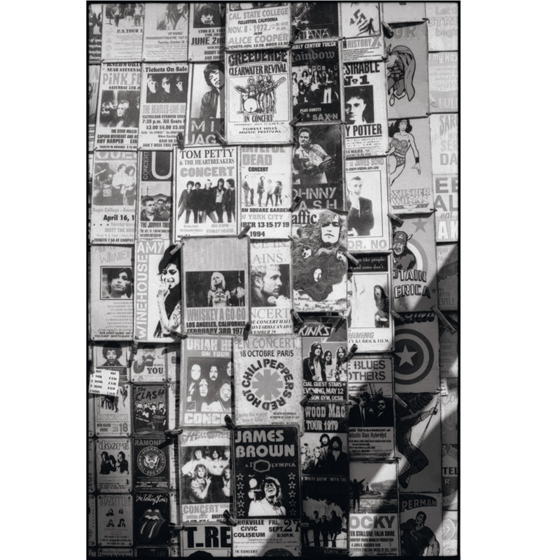 Rollei Superpan 200 36-Exposure 35mm Black & White 135 Film