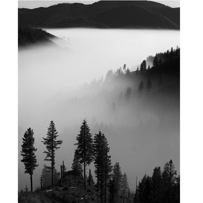 Rollei Retro 80S Black & White 120 Roll Film