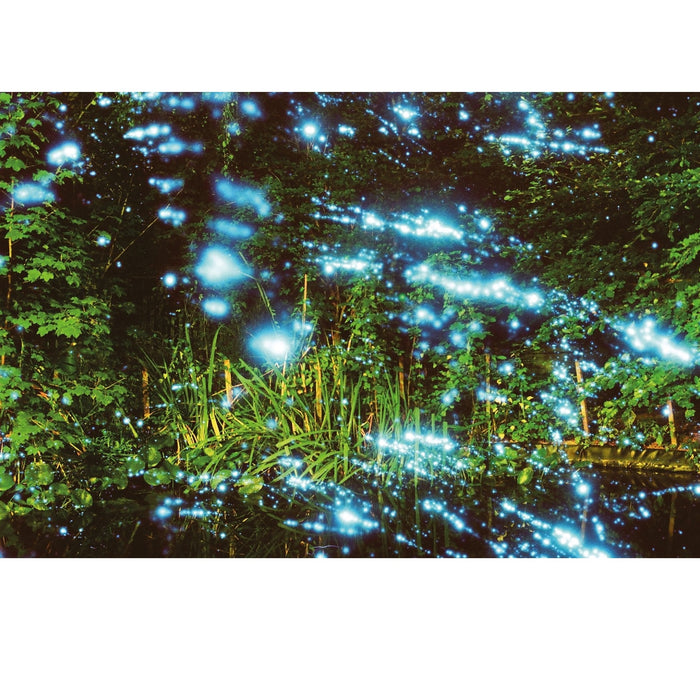 Revolog Kosmos 400 36-Exposure 35mm Colour Negative 135 Film