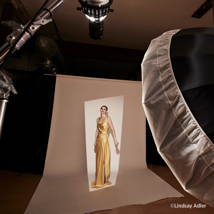 Westcott Optical Spot by Lindsay Adler with 150mm f/3.5 lens and Profoto Mount