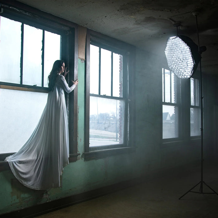 Westcott 40-Degree Egg Crate Grid for Rapid Box Switch Octa-M & 36" Beauty Dish