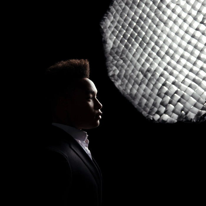 Westcott 40-Degree Egg Crate Grid for Rapid Box Switch Octa-M & 36" Beauty Dish