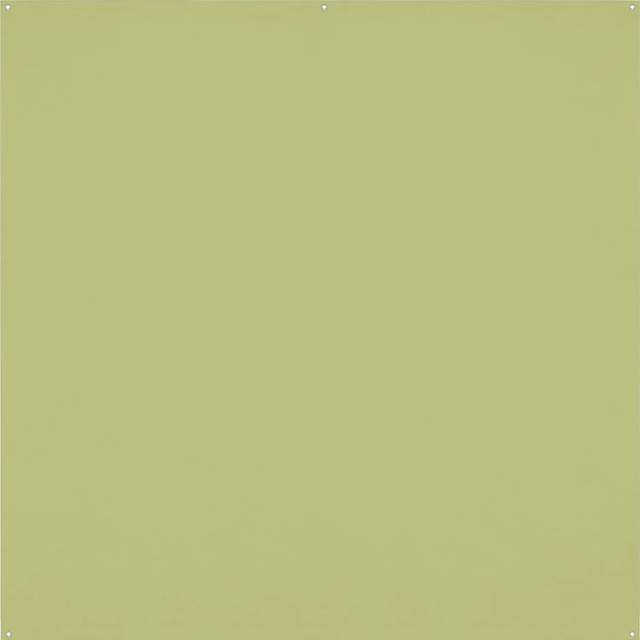Westcott X-Drop Wrinkle-Resistant Backdrop 8' x 8' (Select Colour)