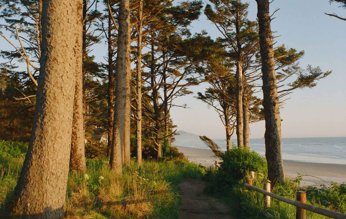 Kodak Ektacolor Pro 800 35mm Colour Film 36 Exp