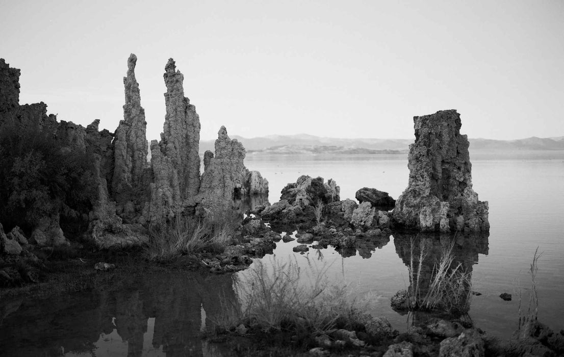 Kodak Professional Ektapan 100 35mm B&W Film 36 Exp