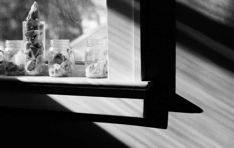 Kodak Professional Ektapan 100 120 B&W Film (5 Pack)