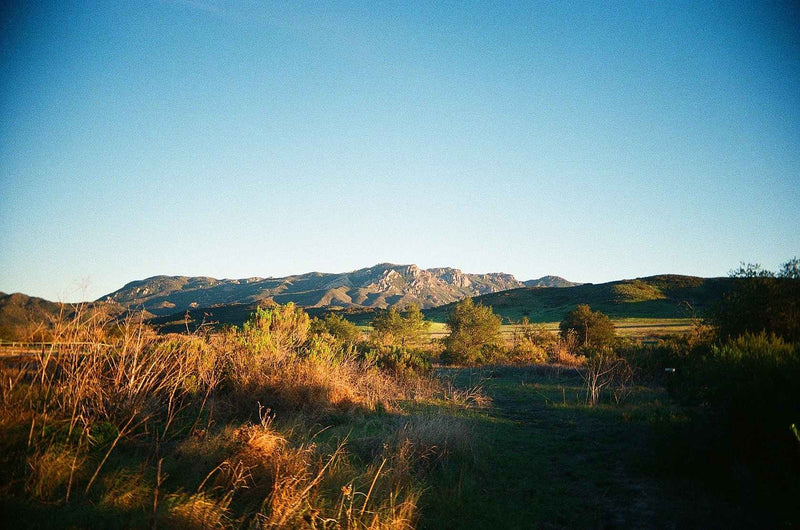 Kodak Eastman UltraMax 400 35mm Colour Film 24 Exp