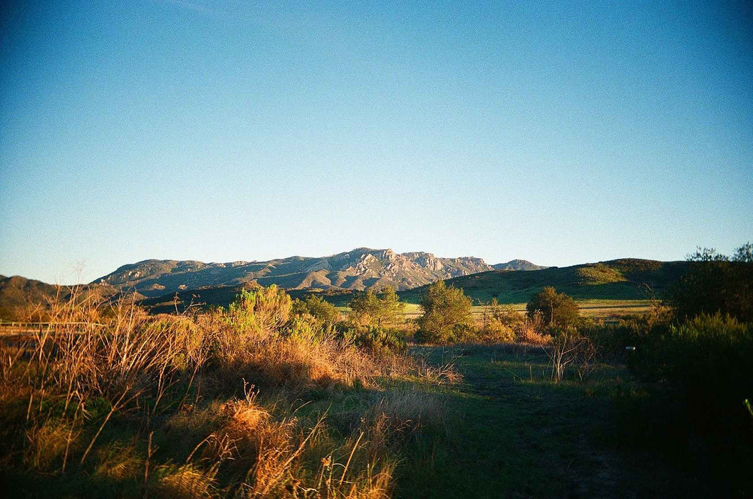 Kodak Eastman UltraMax 400 35mm Colour Film 36 Exp