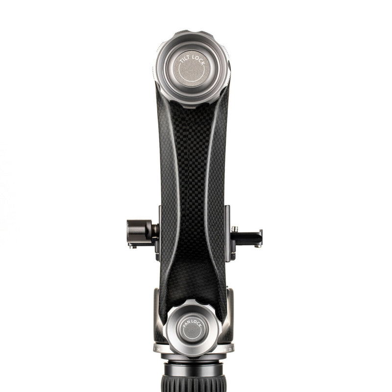 Benro GH5CMINI Mini Gimbal Head Carbon Fibre with PL100N Plate