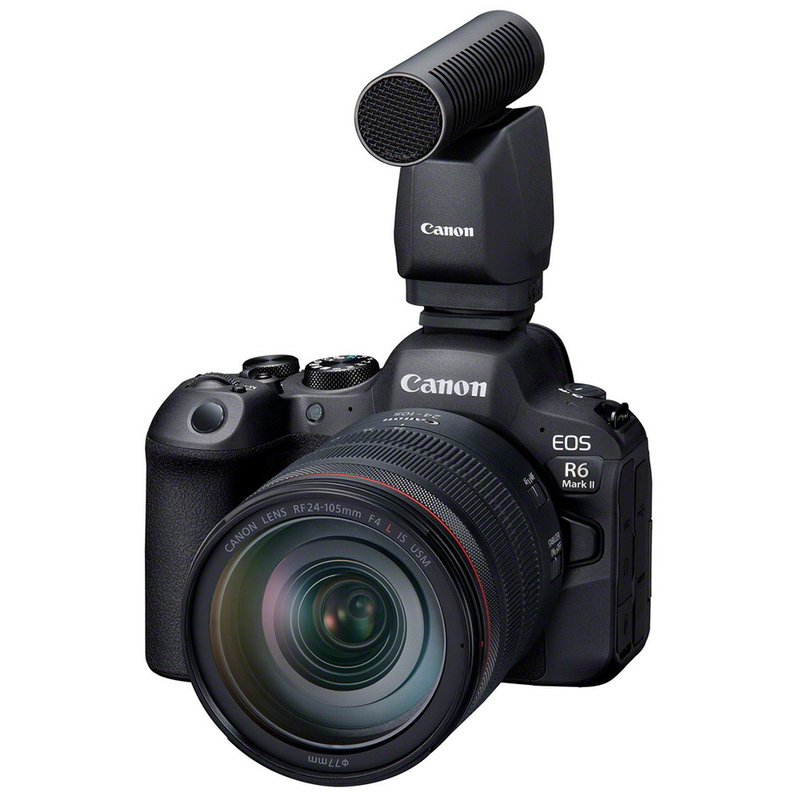 Canon EOS R6 Mark II with RF 24-105 f/4L IS USM Kit