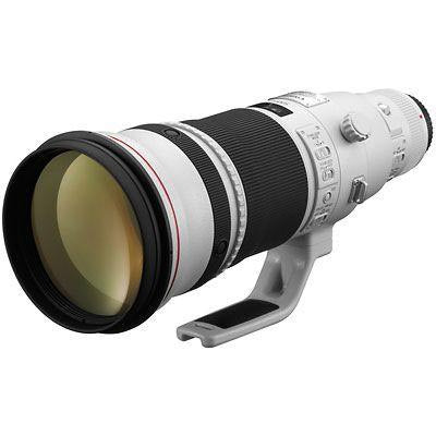 Canon EF 500mm f/4.0L IS II USM Lens