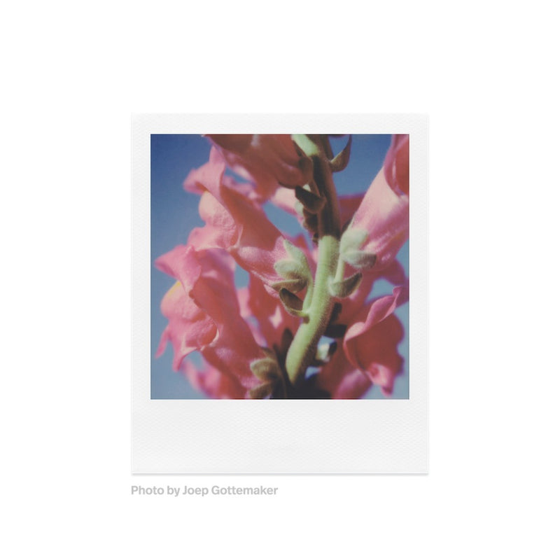 Polaroid Colour SX-70 Film