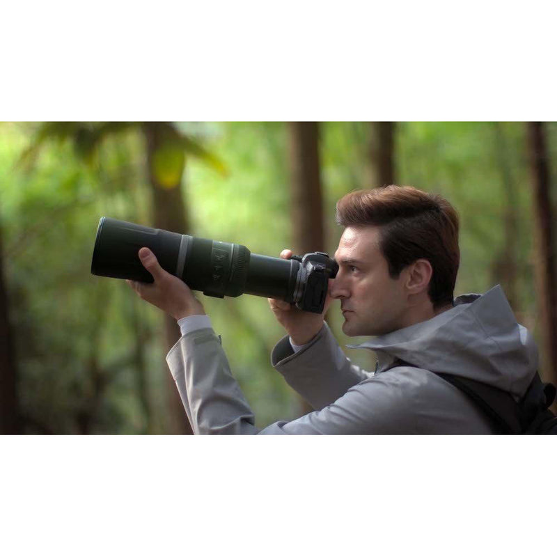 Canon RF 800mm f/11 IS STM Lens