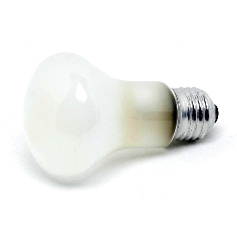 Elinchrom 100w Tungsten Modelling Bulb