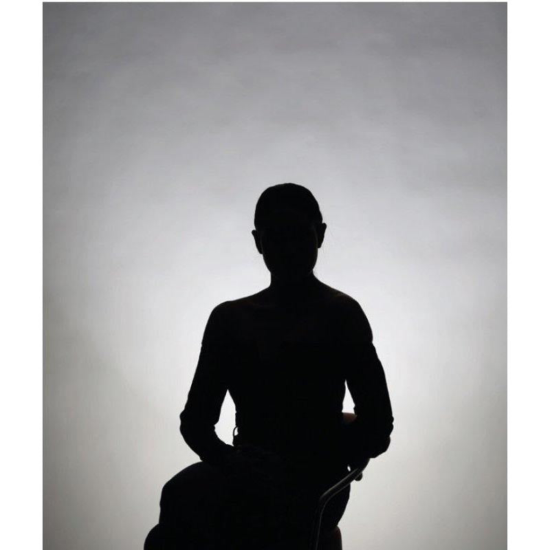 Elinchrom Background Reflector