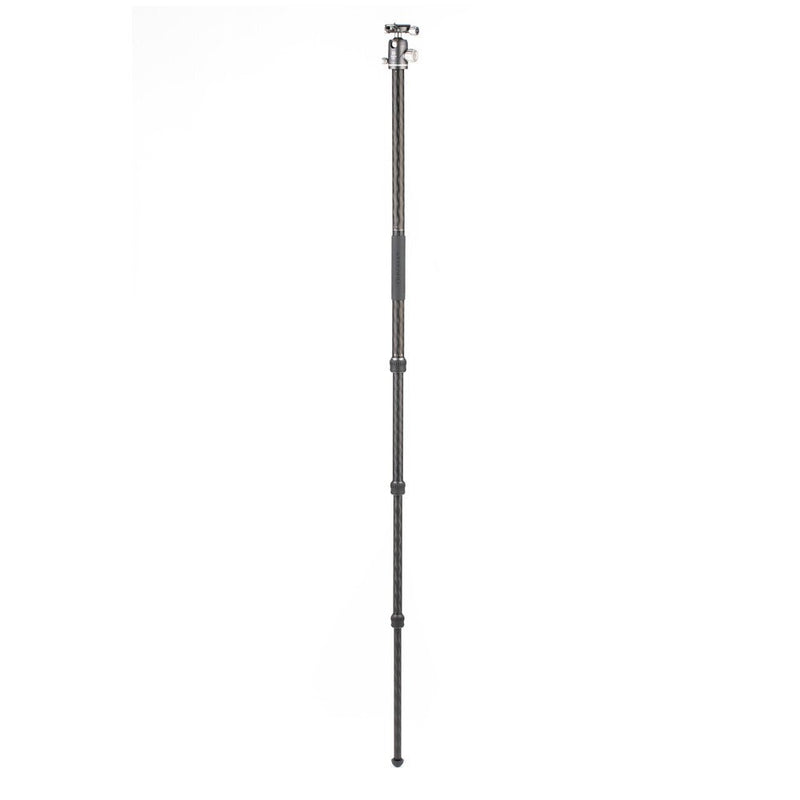 Benro Rhino 24C Carbon Fibre Tripod Kit with VX25 Ball Head
